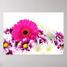 FLORES NA FLOR POSTERES