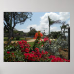 Flores no impressão enorme de Montego Bay do parqu