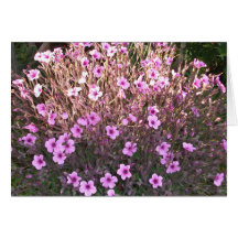 Flores pequenas cor-de-rosa cartão