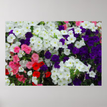 flores poster