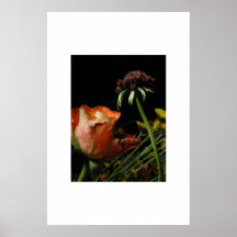 Flores Posters