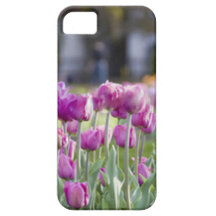 Flores rosas iPhone 5 funda