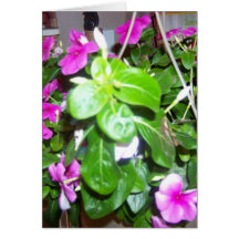 flores roxas cartao