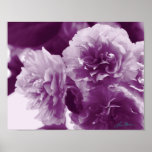 Flores roxas em um impressão fotográfico da mesa