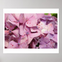 Flores roxas impressão