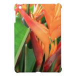 Flores tropicais brilhantes de Heliconia