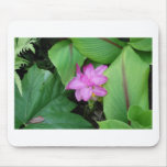 Flores tropicais mousepads