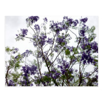 flores verdes roxas contra o céu brilhante floral cartées postais