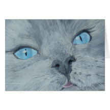 Floresce o gato de Ragdoll Cartao