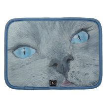 Floresce o gato de Ragdoll Organizadores