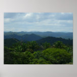 floresta húmida posteres