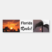 Florida balança o autocolante no vidro traseiro adesivo