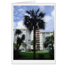 Florida Cartao