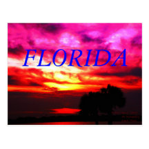 FLORIDA CARTÕES POSTAIS