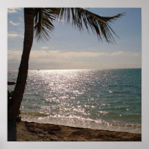 Florida fecha a praia impressão