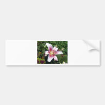 flower#3 adesivos