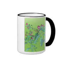 Flower pink caneca