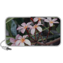 Flower power caixinha de som de viagem
