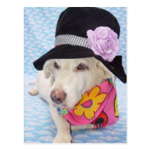 Flower power Myrtie Cartoes Postais