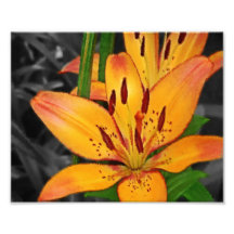 FlowerVI - óleo - iluminado Foto Artes