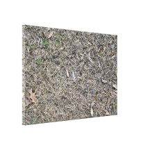 Folhas caídas na textura do fundo da grama seca impressão de canvas envolvida
