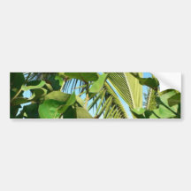 Folhas da palma e da planta adesivos