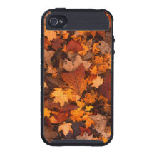 Folhas da queda capa iPhone 4