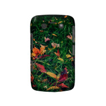 Folhas de outono capa blackberry Case-Mate