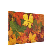 Folhas de outono impressão de canvas esticadas