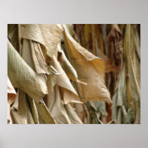 folhas no inverno posters