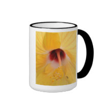 formiga caneca