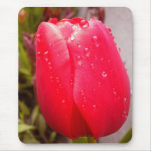 Foto Colette do tapete do rato Mouse Pads