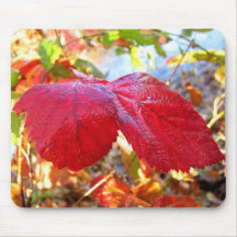 Foto da floresta - Mousepad