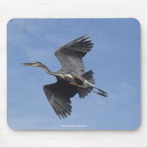 Foto de voo Mousepad da garça-real de grande azul