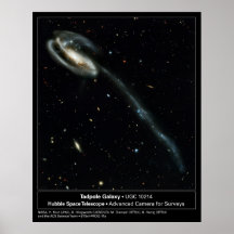 Foto do telescópio de Hubble da galáxia do Tadpole Poster