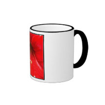 foto dos amaryliss caneca