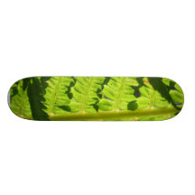 Foto macro da samambaia 3 skate boards