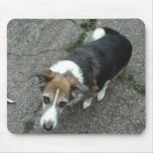 Foto Mousepad do cão
