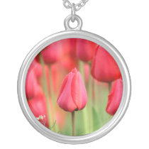 Foto vermelha das tulipas colares