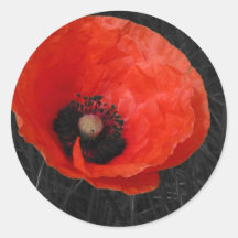 Foto vermelha Foto da papoila de Mohnblume Adesivos