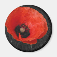 Foto vermelha Foto da papoila de Mohnblume Imãs De Geladeira