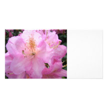 Fotokarte Cartoes Com Foto