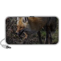 Fox vermelho caixinhas de som portátil