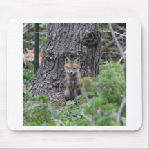 FOXJ2 MOUSE PAD