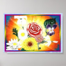 "FULGOR " POSTER