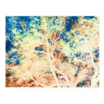 Fundo alaranjado da árvore e azul abstrato cartao postal