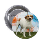 Funileiro Bell - Jack Russell Boton