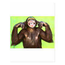 funny_monkey vykort