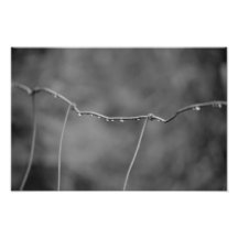 Gaas Foto Print