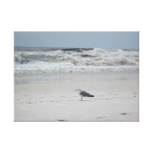 Gaivota pelo oceano em canvas impressão de canvas esticadas